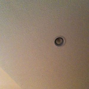 Meet your Posher, Nelson